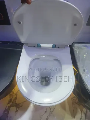 Wall Hung Toilet White