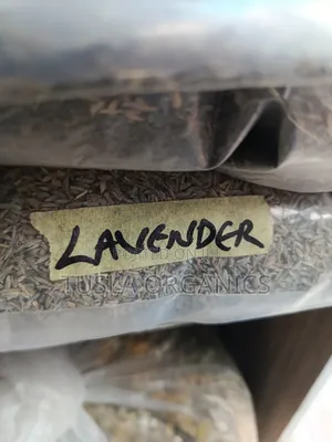 Lavender Seeds 250g