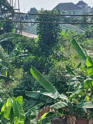 1plot of Land for Sale at Omuko Omagwa in a Developed Area