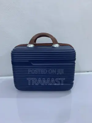 Teng Fei Kit/Hand Bag