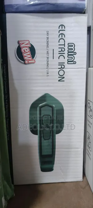 Mini Steam Iron