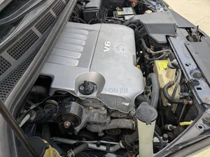 Toyota Sienna XLE Limited AWD 2009 Gray