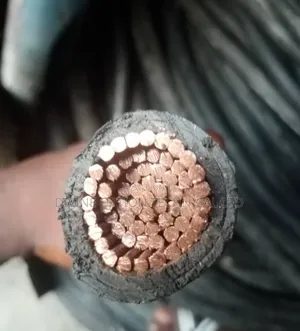 300mm Single Turkey Amoured Cable