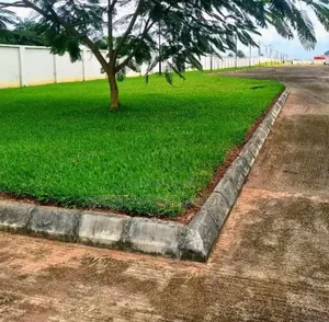 Garden, Landscaping and Horticulture