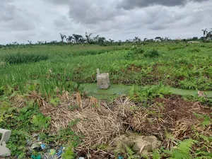 40ft by 60ft Plot Ikotun Iguando Close to the Rd