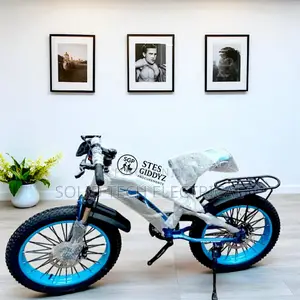 Black and Blue Bicycle