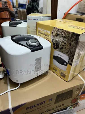 Affordable Polystar 10l Heater – Model Pv-Jy10lwh
