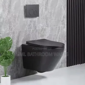 England Standard Matte Black Concealed Toilet Seats