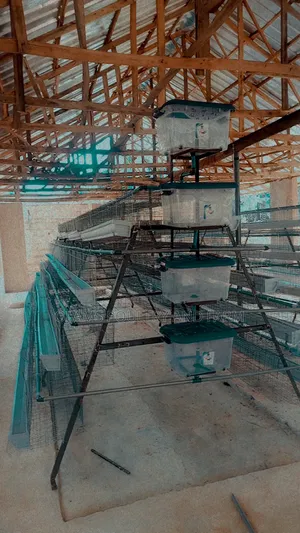 Battery Cage
