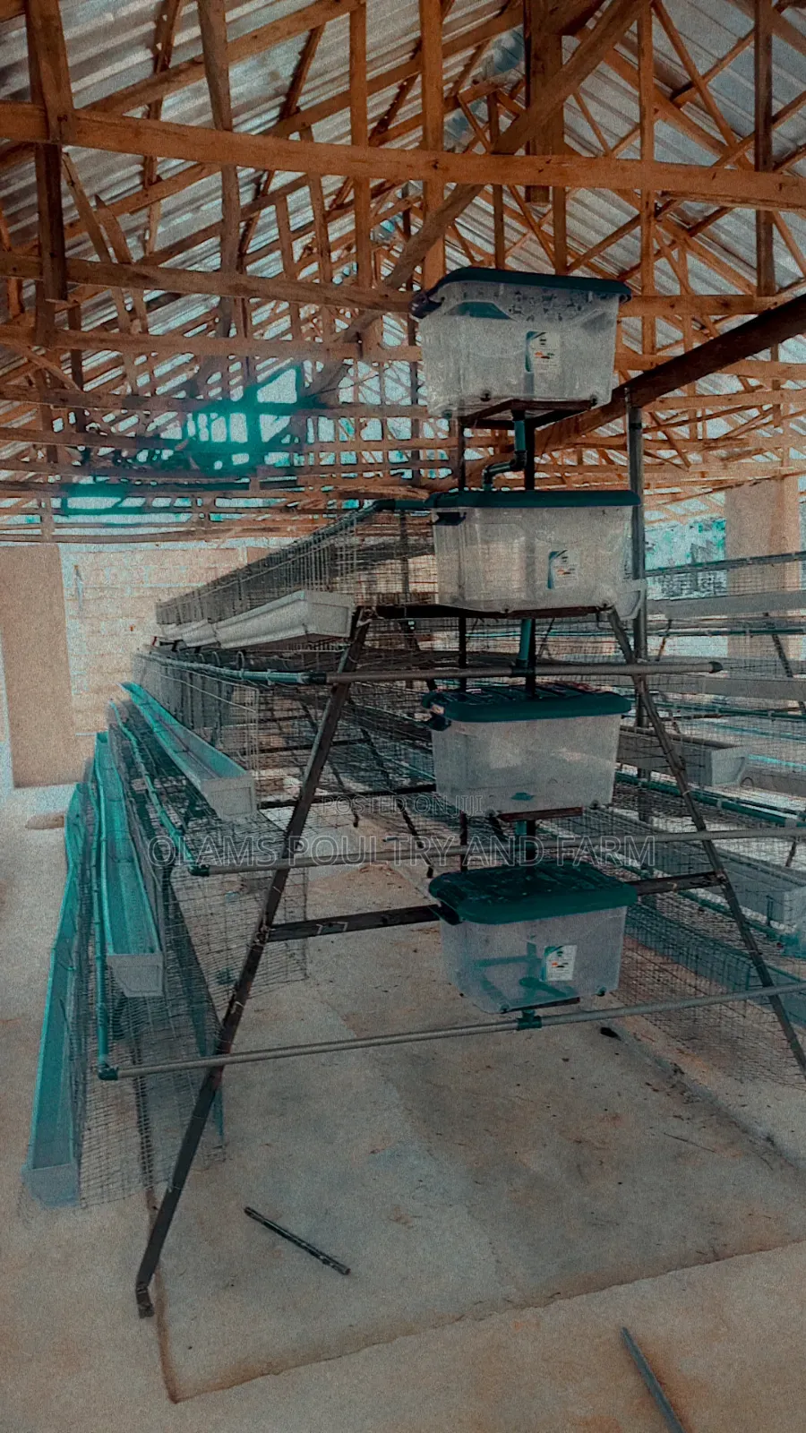 Battery Cage