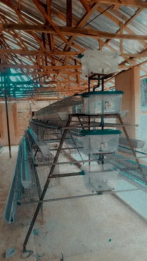 Battery Cage