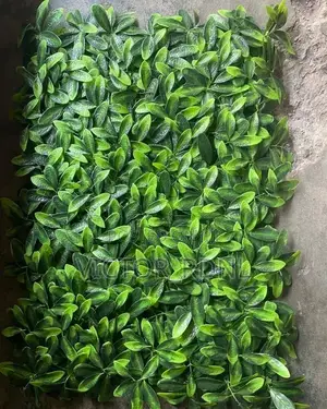 Super Cool Green Flower Mat Plant