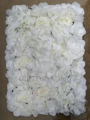 White Flower Mat Plant Available in Bulk Designs