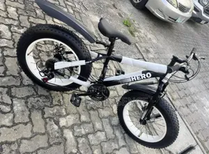 Newly Imported Hero Bicycle