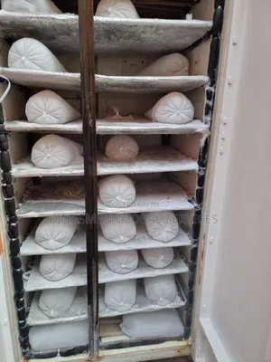 Commercial Iceblocks Freezer