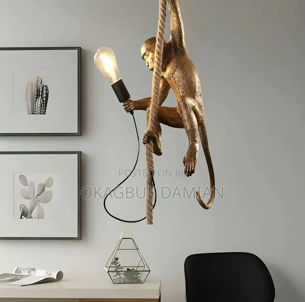 Monkey Light