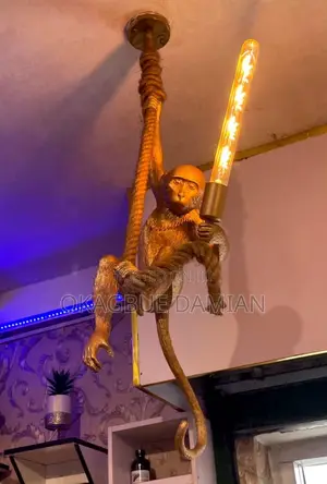 Monkey Light