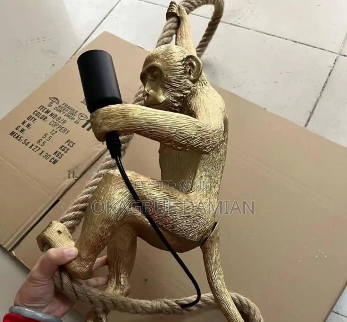 Monkey Light