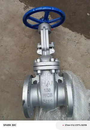 Mind Steel Gate Valve and Butterfly Valve