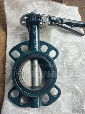 Mind Steel Gate Valve and Butterfly Valve