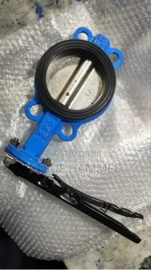 Stainless Steel Flange and Butterfly Valve