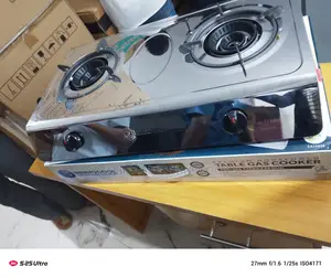 New Thermocool Table Cooker – A Chef’S Secret Weapon