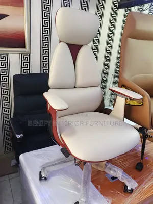 Executive Ergonomic Office Chair