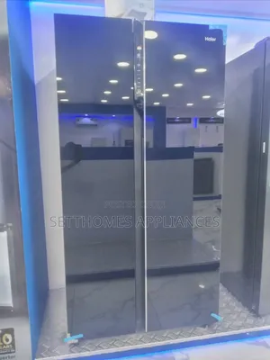 619l Haier Thermocool Side by Side Refrigerator