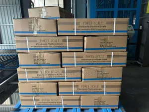 300kg Electronic Platform Scale