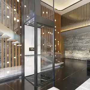 Premium Residential Elevator