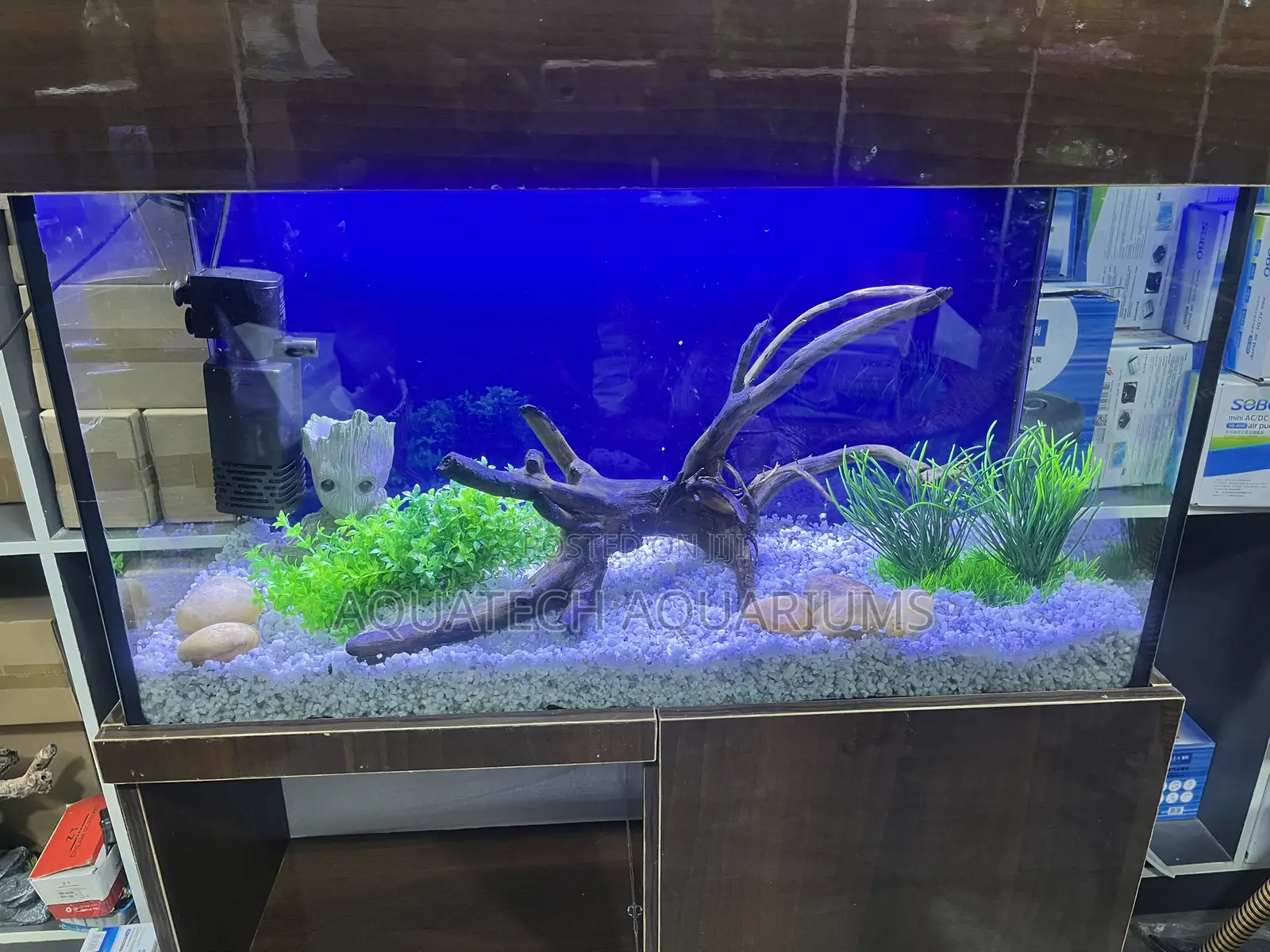 Ready Made Aquarium