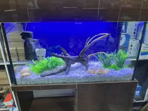 Ready Made Aquarium