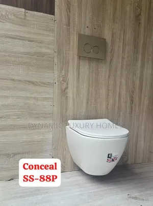 Quality England Conceal Wc (Wall Hung Wc)