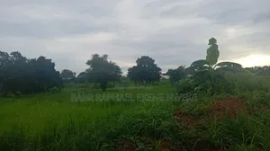 30 Plots of Land for Sale