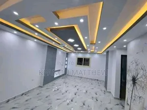A Professional Painter