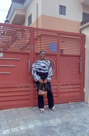 Domestic Cleaner