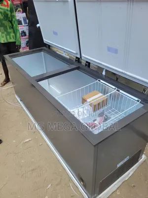 Biggest Hisense Double Door Chest Freezer
