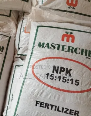 NPK 15 15 15 (Master Chem)
