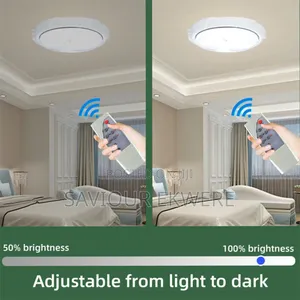 Indoor /Outdoor Solar Ceiling Light With Remote Control