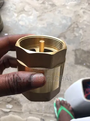 2" Brass Spring Non Return Valve