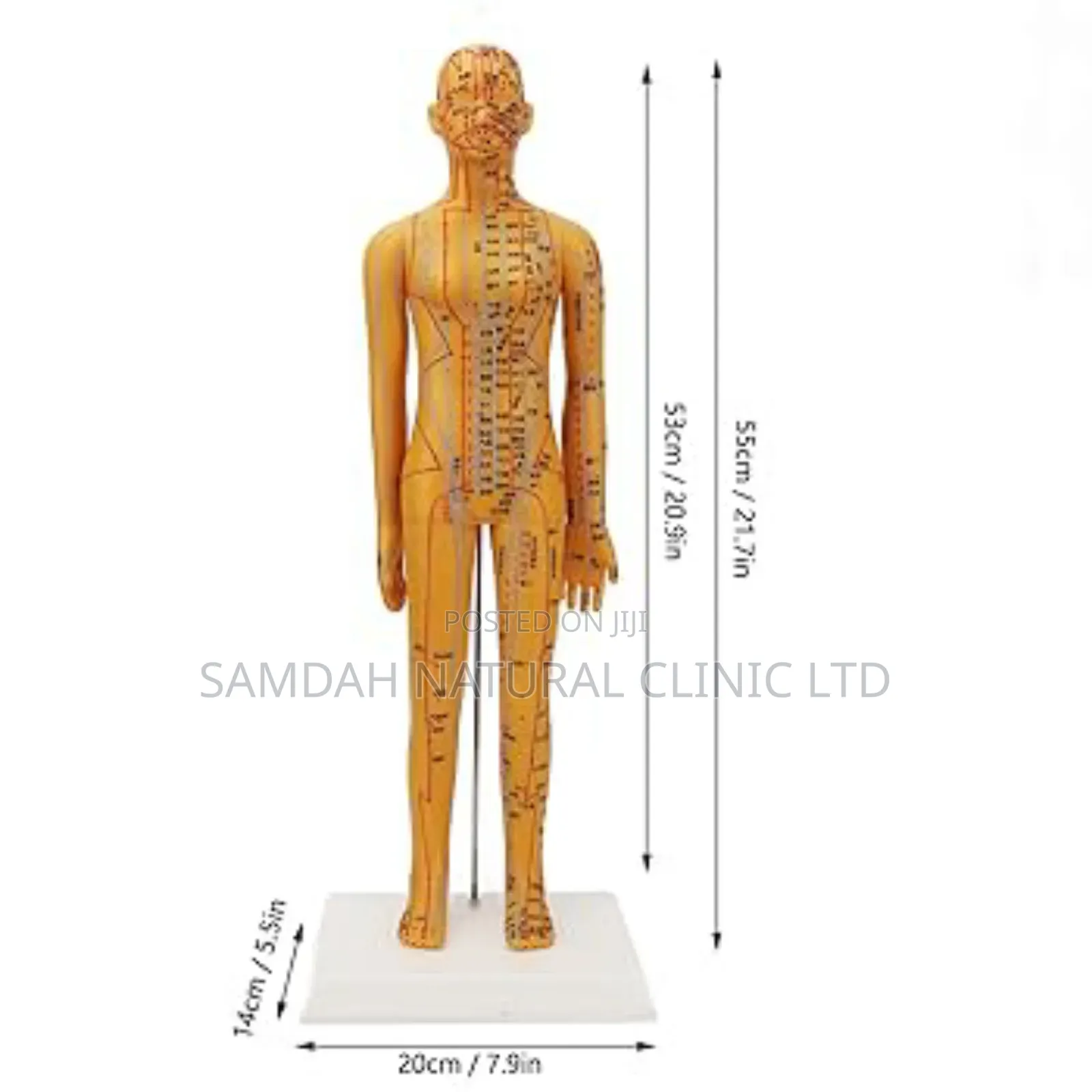 Acu Doll Male