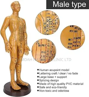Acu Doll Male