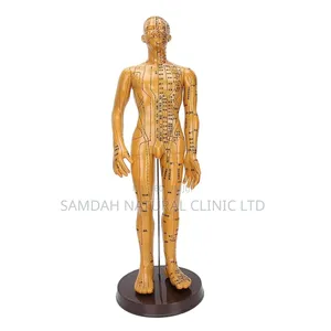 Acu Doll Male