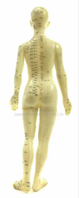 Acu Doll Female