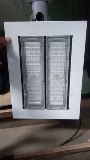 100w Canopy Light