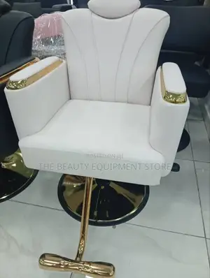 Salon Barber Chair