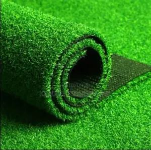Artificial Grass Carpet