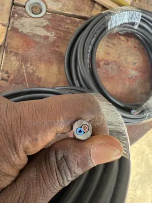 4mm 2core Flex Wire