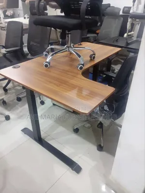 Electric Sit to Stand Working Desk.