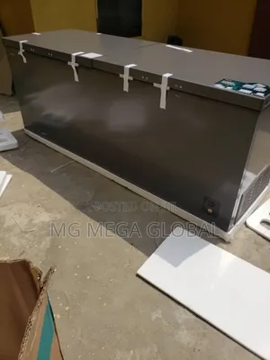 Hisense Double Door Freezer
